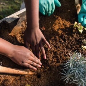 Gardening